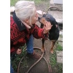 Fritz 5-6anni Dolce Segugio - Foto n. 6