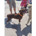 Dalila Giovane, Socievole e Buona con Tutti! - Foto n. 6