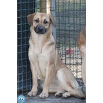 Pam, Cerca chi Sappia Vederla Davvero - Foto n. 2