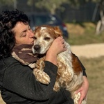 Jack Breton puro Cerca casa - Adozione del Cuore - Foto n. 3