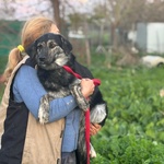 Freya Dolce Cagnolina Mamma Border Collie Cerca casa - in Adozione - Foto n. 2