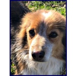 Perseo 8anni un bel Tipetto! tg Mediopicc. - Foto n. 5