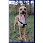 Zak Tenero Piccoletto Hanno Rinunciato a Lui - Foto n. 3