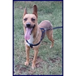 Zak Tenero Piccoletto Hanno Rinunciato a Lui - Foto n. 4