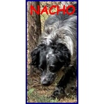 Nacho 8-9anni Gioioso e Giocherellone - Foto n. 4