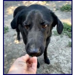 Smog 5anni Dolce e Remissivo! - Foto n. 3