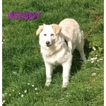 Wendy Giovane Timidina tg Medio Grande - Foto n. 2