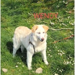 Wendy Giovane Timidina tg Medio Grande - Foto n. 3