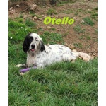 Otello 5anni Adora L'acqua e Giocare! Bravo - Foto n. 2