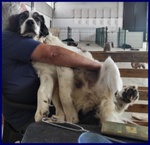 Ggg 5anni Dolcissimo Coccolone - Foto n. 5