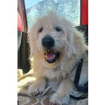 Rebecca 9anni - tg Media Rimasta Sola! - Foto n. 2