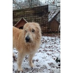 Rebecca 9anni - tg Media Rimasta Sola! - Foto n. 6