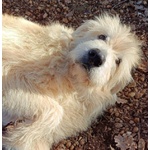 Rebecca 9anni - tg Media Rimasta Sola! - Foto n. 7