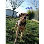 Zero 7anni Dolcissimo Cercacoccole tg Contenuta - Foto n. 3