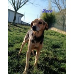 Zero 7anni Dolcissimo Cercacoccole tg Contenuta - Foto n. 5