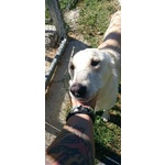 Roberto Socievole Allegro! tg Media - Foto n. 6