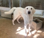 Lerry Determinato tg Mediogrande - Foto n. 2