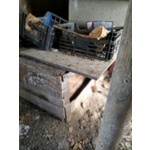 Dick 6anni Senza più una Casa - Foto n. 4