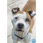 Molly, una casa per gli anni più Preziosi