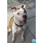 Molly, una casa per gli anni più Preziosi - Foto n. 4