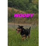 Woody sui 3anni una Bella Timidina! - Foto n. 3
