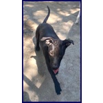 Adorabile Zeudi sui 3 anni - tg Contenuta - Foto n. 3