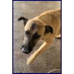 Ketchup Socievole Simpaticone - Foto n. 2