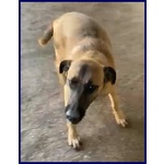 Ketchup Socievole Simpaticone - Foto n. 3