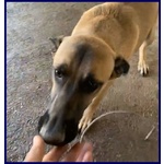 Ketchup Socievole Simpaticone - Foto n. 4