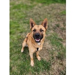 Miren Taglia Media - Foto n. 2