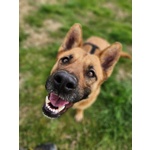 Miren Taglia Media - Foto n. 3