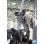 Nina, nana e Noah: il club Degli Invisibili - Foto n. 3