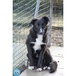 Nina, nana e Noah: il club Degli Invisibili - Foto n. 4