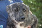 Attenzione! 6 Trudy, alto Tasso di Morbidezza in Rifugio… - Foto n. 2