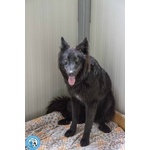 Blaky: L'eleganza del Silenzio - Foto n. 2