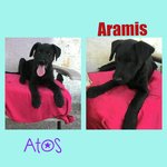 Athos e Aramis Cuccioli mix- Labrador di 3 Mesi