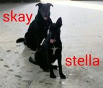 Skay e Stella