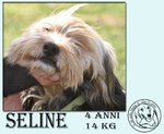 Seline, 4 anni e 14kg D'amore Puro - Foto n. 2
