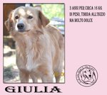 Giulia, 3 anni e 16kg - Foto n. 3