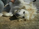 Nebbia, Dolce Nebbia, Reclusa da 11 Anni - Foto n. 1