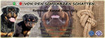Cuccioli di Rottweiler Altamente Selezionati - Foto n. 5