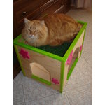 Cat box per Gatti - Foto n. 3