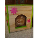 Cat box per Gatti - Foto n. 4