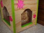 Cat box per Gatti - Foto n. 5