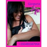 Ginevra in Adozione