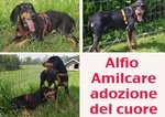 Alfio e Amilcare due Fratelli dal Cuore Grande