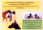 Allevamento Boxer di Albosaggia