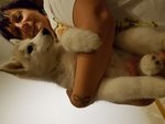 Cuccioli di Husky con Pedigree - Foto n. 3