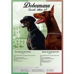 Cuccioli Dobermann