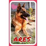 Una Famiglia per Ares